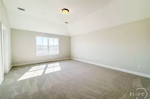 330 Boundary Hall Way, Hinesville, GA 31313 - Photo 14