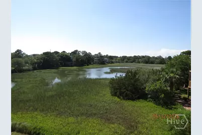 8 Lighthouse Lane, Tybee Island, GA 31328 - Photo 52
