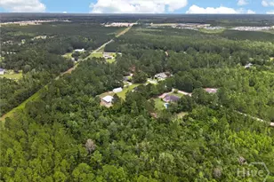 176 Cathy Ln, Ludowici, GA 31316 - Photo 62