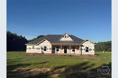999 NE Darwell Long Road, Ludowici, GA 31316 - Photo 1