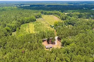 4112 Seed Tick Rd, Ellabell, GA 31308 - Photo 24