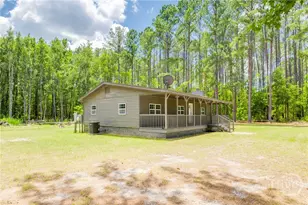 4112 Seed Tick Rd, Ellabell, GA 31308 - Photo 28