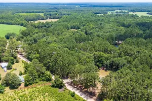 4112 Seed Tick Rd, Ellabell, GA 31308 - Photo 22