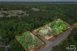 22731 Ga Hwy 46, Nevils, GA 31321 - Photo 4