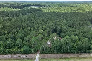 27418 GA-46, Ellabell, GA 31308 - Photo 30