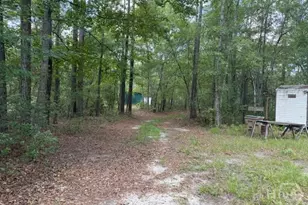 704 Mack English Rd, Ellabell, GA 31308 - Photo 6