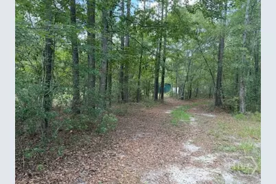 704 Mack English Road, Ellabell, GA 31308 - Photo 8