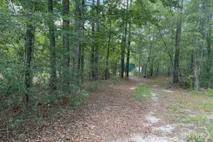704 Mack English Rd, Ellabell, GA 31308 - Photo 8