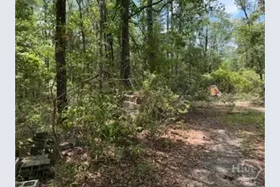 704 Mack English Road, Ellabell, GA 31308 - Photo 44
