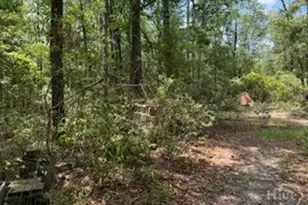 704 Mack English Rd, Ellabell, GA 31308 - Photo 44