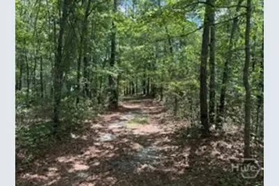 704 Mack English Road, Ellabell, GA 31308 - Photo 54