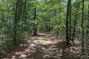 704 Mack English Rd, Ellabell, GA 31308 - Photo 54