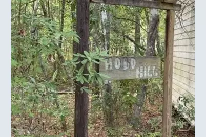 704 Mack English Road, Ellabell, GA 31308 - Photo 38