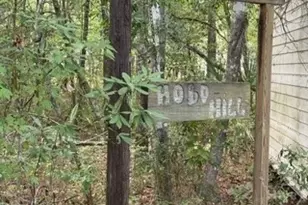 704 Mack English Rd, Ellabell, GA 31308 - Photo 38