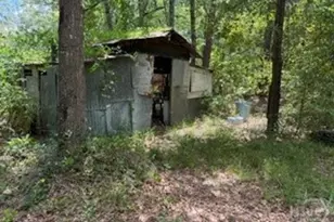 704 Mack English Rd, Ellabell, GA 31308 - Photo 40