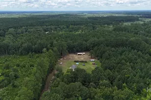913 Berryville Rd, Clyo, GA 31303 - Photo 1