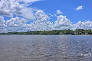 223 Mariners Way, Savannah, GA 31419 - Photo 56