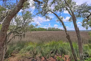 223 Mariners Way, Savannah, GA 31419 - Photo 48