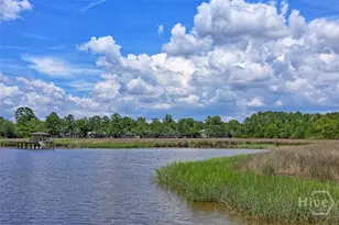 223 Mariners Way, Savannah, GA 31419 - Photo 56
