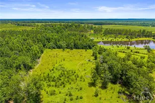 762 Old McLeod Bridge Rd, Adrian, GA 31002 - Photo 64