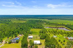 762 Old McLeod Bridge Rd, Adrian, GA 31002 - Photo 58