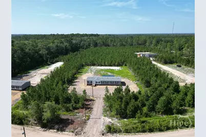 1265 Bradwell Dunham Road NE, Ludowici, GA 31316 - Photo 44