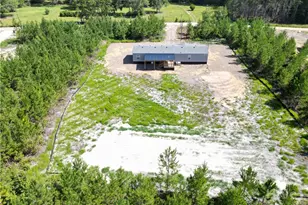 1265 Bradwell Dunham Rd NE, Ludowici, GA 31316 - Photo 4