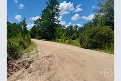 1265 Bradwell Dunham Road NE, Ludowici, GA 31316 - Photo 32