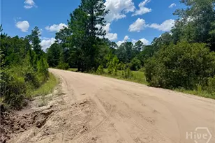 1265 Bradwell Dunham Rd NE, Ludowici, GA 31316 - Photo 32