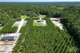 1265 Bradwell Dunham Rd NE, Ludowici, GA 31316 - Photo 48