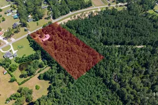 202 Nease Rd, Guyton, GA 31312 - Photo 4