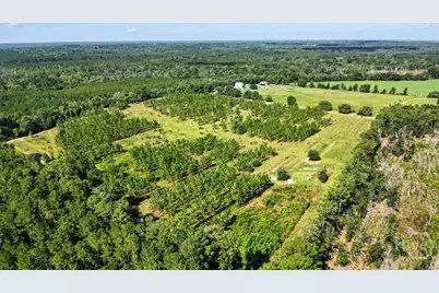 4781 L J Road, Claxton, GA 30417 - Photo 66