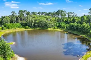 4781 Lj Rd, Claxton, GA 30417 - Photo 60