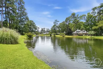 3 Springpine Lane, Savannah, GA 31411 - Photo 50