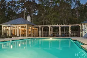 290 Monterey Loop Dr, Richmond Hill, GA 31324 - Photo 38
