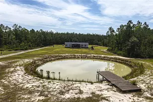 1139 Henry Walcott Road NW, Ludowici, GA 31316 - Photo 2
