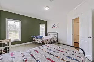 1139 Henry Walcott Road NW, Ludowici, GA 31316 - Photo 24