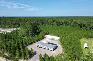 991 Bradwell Dunham Rd, Ludowici, GA 31316 - Photo 10
