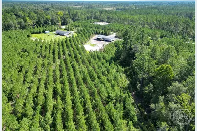 991 Bradwell Dunham Road, Ludowici, GA 31316 - Photo 14