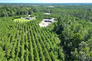 991 Bradwell Dunham Rd, Ludowici, GA 31316 - Photo 14