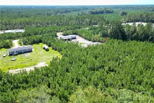 991 Bradwell Dunham Rd, Ludowici, GA 31316 - Photo 16