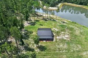660 Old Manassas Foy, Register, GA 30452 - Photo 44