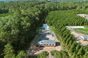 1225 Bradwell Dunham Rd, Ludowici, GA 31316 - Photo 30