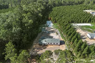 1225 Bradwell Dunham Rd, Ludowici, GA 31316 - Photo 34