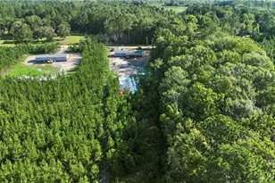 1225 Bradwell Dunham Rd, Ludowici, GA 31316 - Photo 36