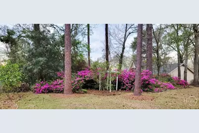 100 Strathy Hall Drive, Richmond Hill, GA 31324 - Photo 40