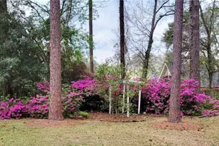100 Strathy Hall Dr, Richmond Hill, GA 31324 - Photo 40