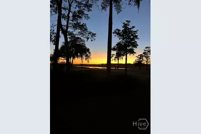 47 Peregrine Crossing, Savannah, GA 31411 - Photo 4