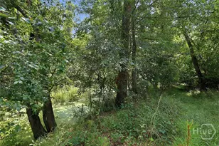 225 Frank Edwards Rd, Ellabell, GA 31308 - Photo 52