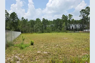 1.37 Ac Bill Wells Road NE, Ludowici, GA 31316 - Photo 1